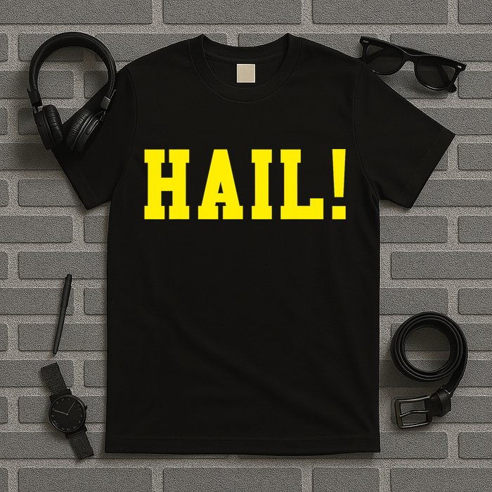 State of Michigan Hail! U M Ann Arbor MI AA T-Shirt