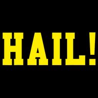 State of Michigan Hail! U M Ann Arbor MI AA T-Shirt