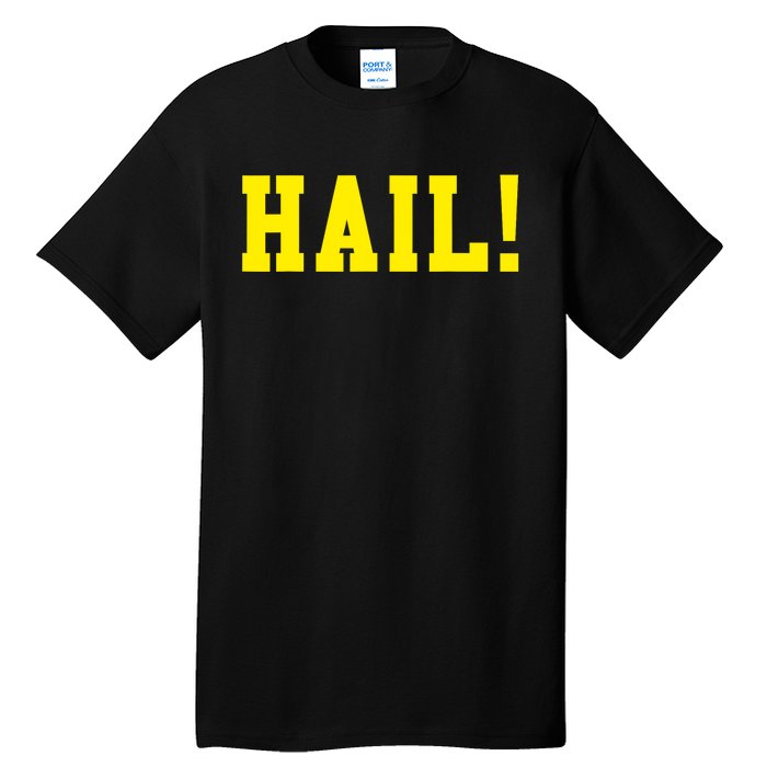 State of Michigan Hail! U M Ann Arbor MI AA Tall T-Shirt