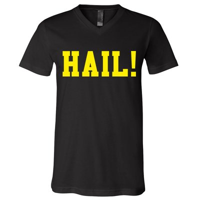 State of Michigan Hail! U M Ann Arbor MI AA V-Neck T-Shirt