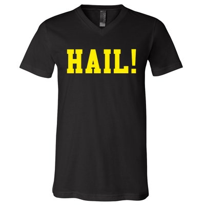 State of Michigan Hail! U M Ann Arbor MI AA V-Neck T-Shirt