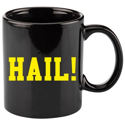 State of Michigan Hail! U M Ann Arbor MI AA 11oz C Handle Ceramic Mug