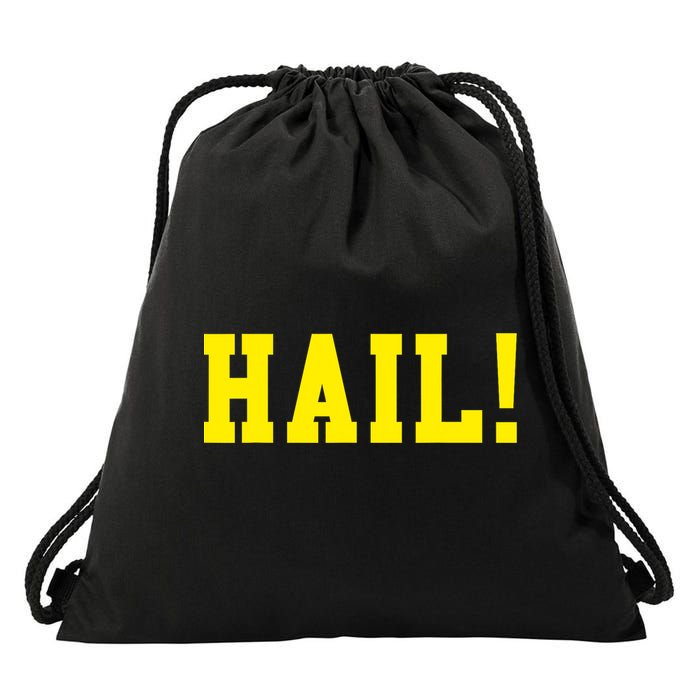 State of Michigan Hail! U M Ann Arbor MI AA Drawstring Bag