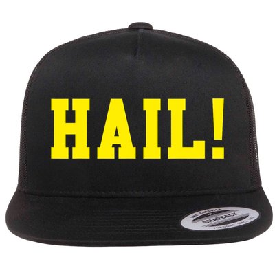 State of Michigan Hail! U M Ann Arbor MI AA Flatbill Hat