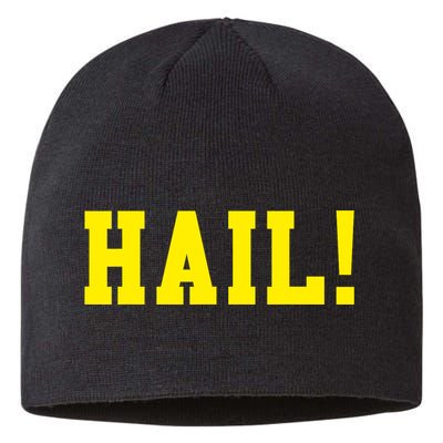 State of Michigan Hail! U M Ann Arbor MI AA Sustainable Beanie