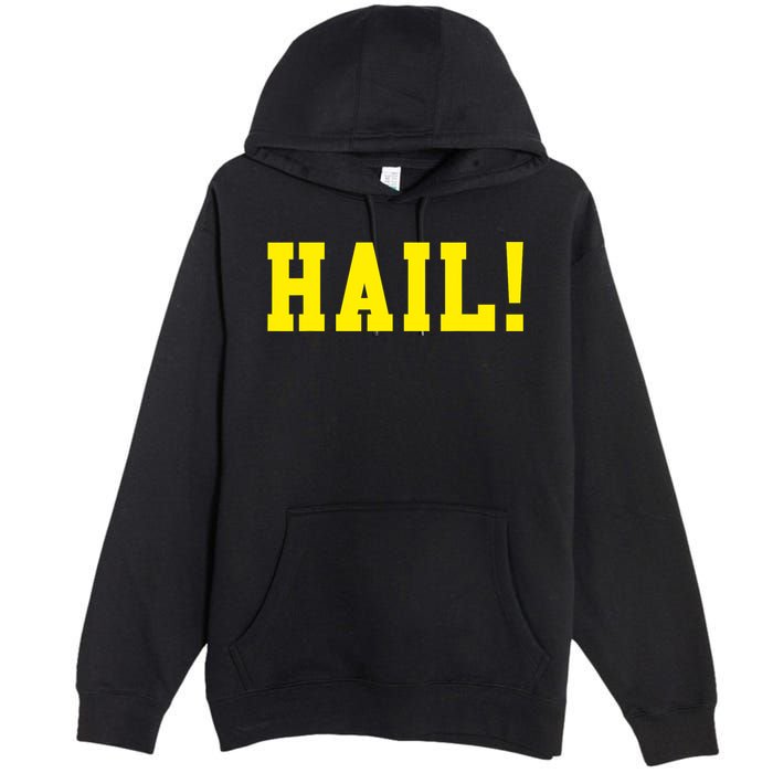 State of Michigan Hail! U M Ann Arbor MI AA Premium Pullover Hoodie