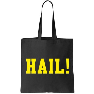 State of Michigan Hail! U M Ann Arbor MI AA Bag