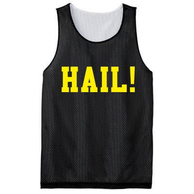 State of Michigan Hail! U M Ann Arbor MI AA Mesh Reversible Basketball Jersey Tank
