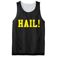 State of Michigan Hail! U M Ann Arbor MI AA Mesh Reversible Basketball Jersey Tank