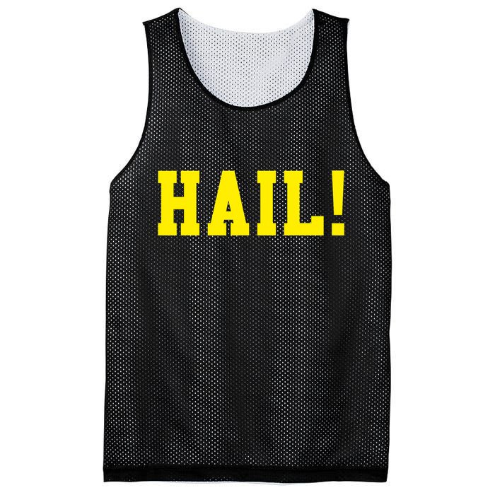 State of Michigan Hail! U M Ann Arbor MI AA Mesh Reversible Basketball Jersey Tank