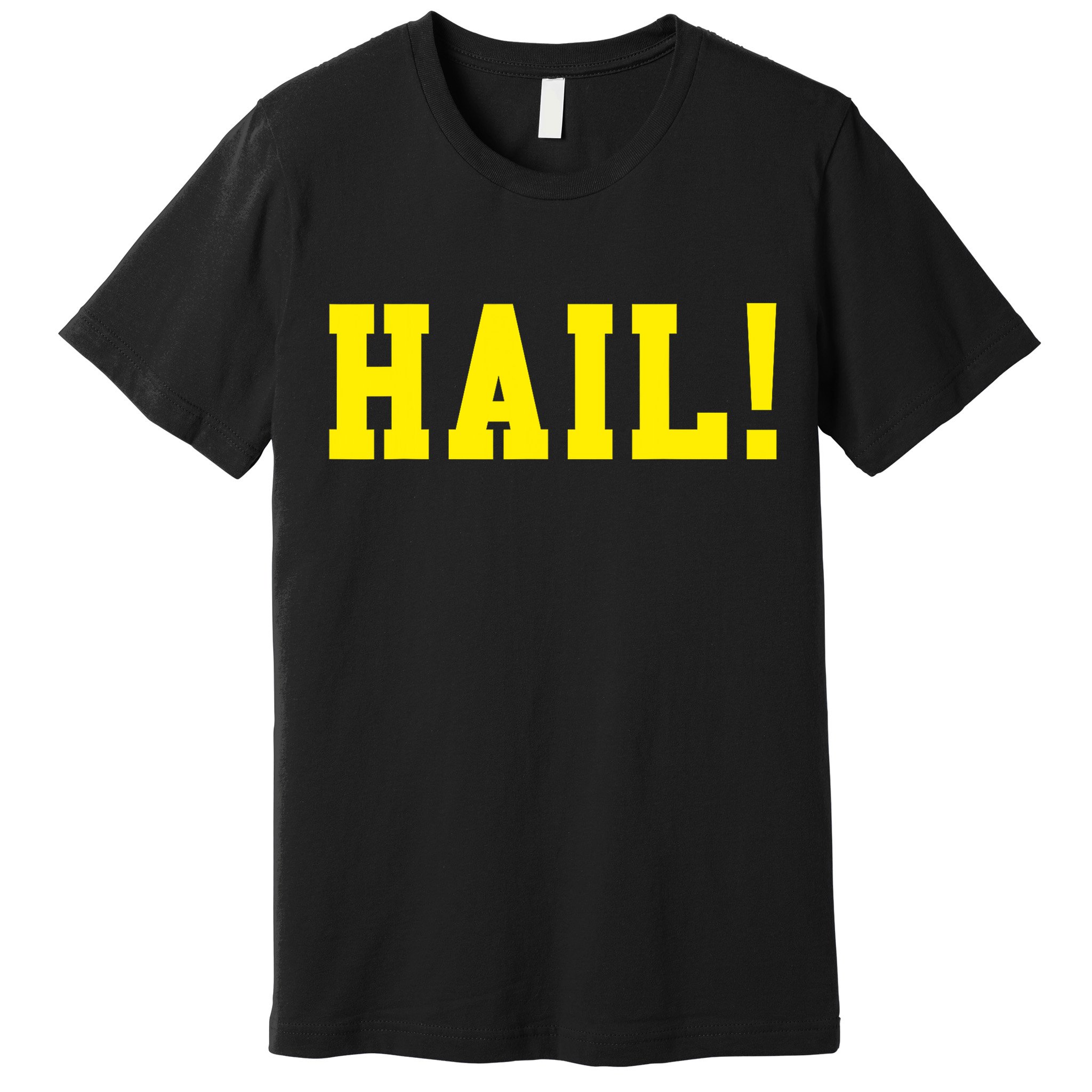 State of Michigan Hail! U M Ann Arbor MI AA Premium T-Shirt