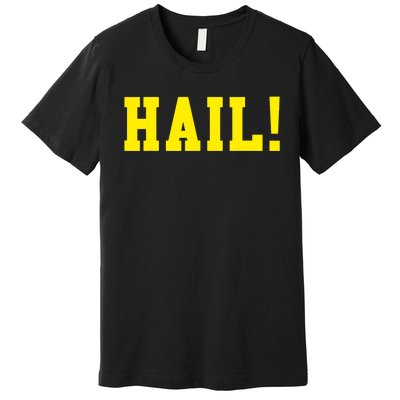 State of Michigan Hail! U M Ann Arbor MI AA Premium T-Shirt