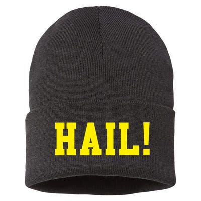 State of Michigan Hail! U M Ann Arbor MI AA Sustainable Knit Beanie