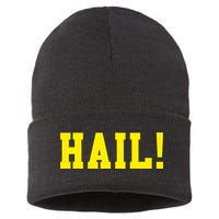 State of Michigan Hail! U M Ann Arbor MI AA Sustainable Knit Beanie