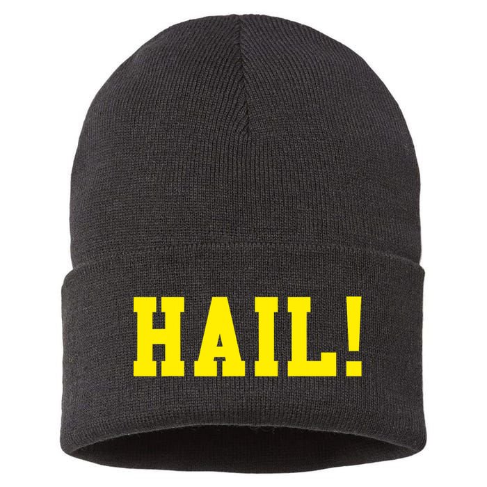 State of Michigan Hail! U M Ann Arbor MI AA Sustainable Knit Beanie