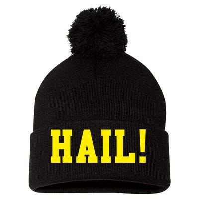 State of Michigan Hail! U M Ann Arbor MI AA Pom Pom 12in Knit Beanie
