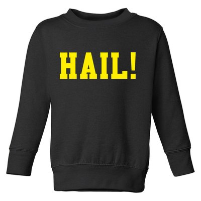 State of Michigan Hail! U M Ann Arbor MI AA Toddler Sweatshirt
