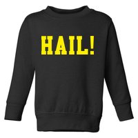 State of Michigan Hail! U M Ann Arbor MI AA Toddler Sweatshirt