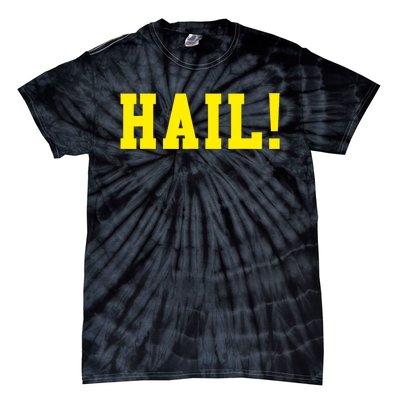 State of Michigan Hail! U M Ann Arbor MI AA Tie-Dye T-Shirt