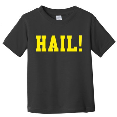 State of Michigan Hail! U M Ann Arbor MI AA Toddler T-Shirt