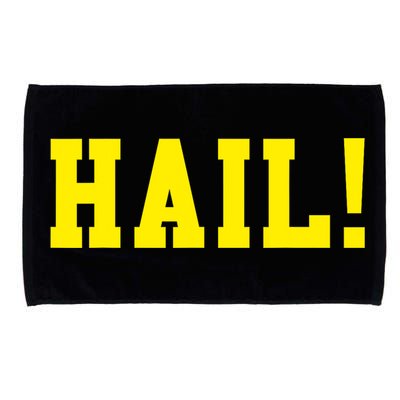 State of Michigan Hail! U M Ann Arbor MI AA Microfiber Hand Towel