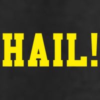 State of Michigan Hail! U M Ann Arbor MI AA Microfiber Hand Towel