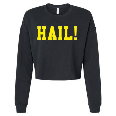 State of Michigan Hail! U M Ann Arbor MI AA Cropped Pullover Crew