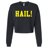 State of Michigan Hail! U M Ann Arbor MI AA Cropped Pullover Crew