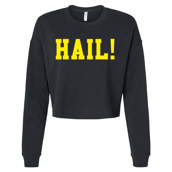 State of Michigan Hail! U M Ann Arbor MI AA Cropped Pullover Crew