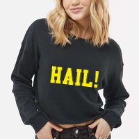 State of Michigan Hail! U M Ann Arbor MI AA Cropped Pullover Crew