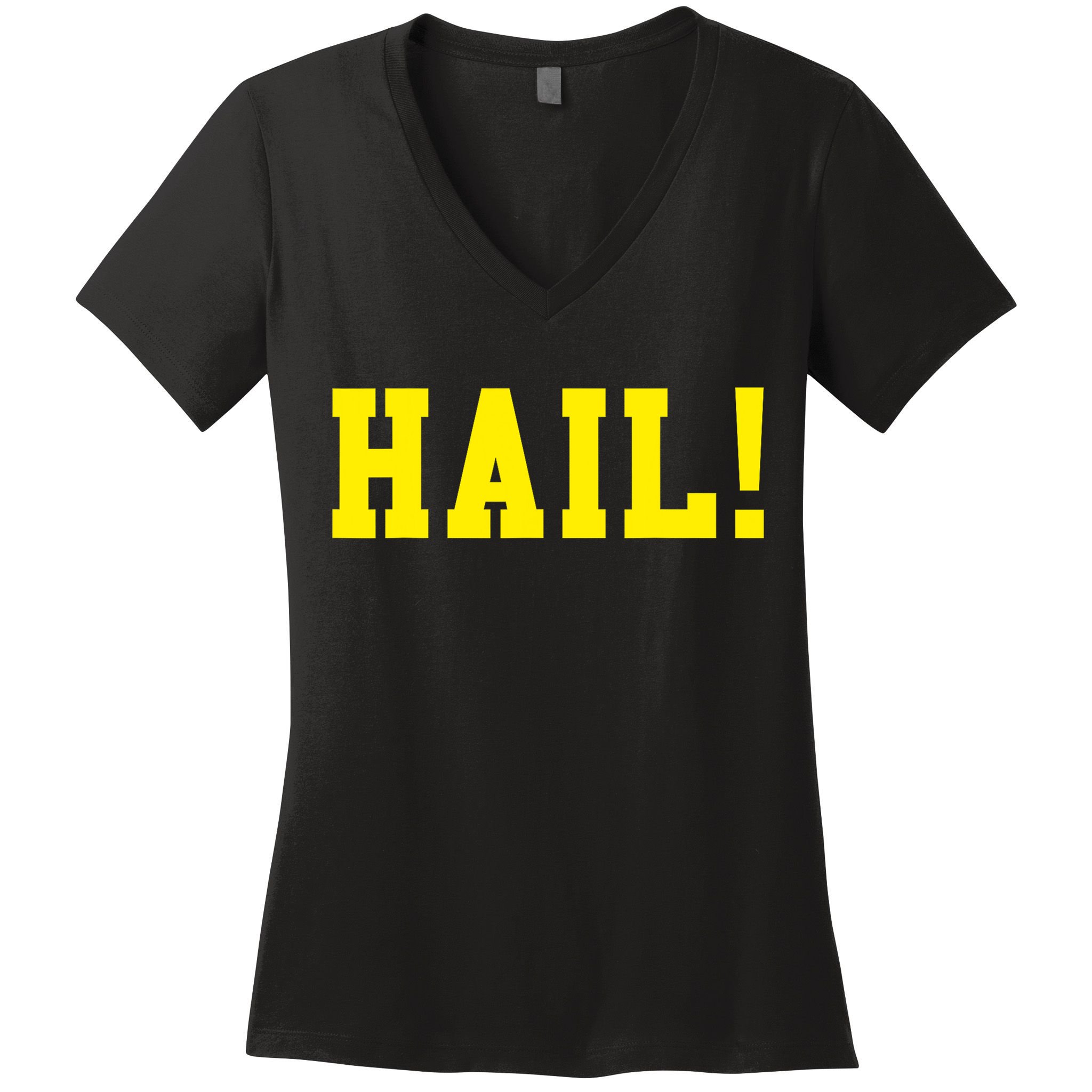 State of Michigan Hail! U M Ann Arbor MI AA Women's V-Neck T-Shirt