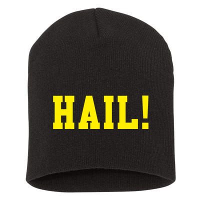 State of Michigan Hail! U M Ann Arbor MI AA Short Acrylic Beanie