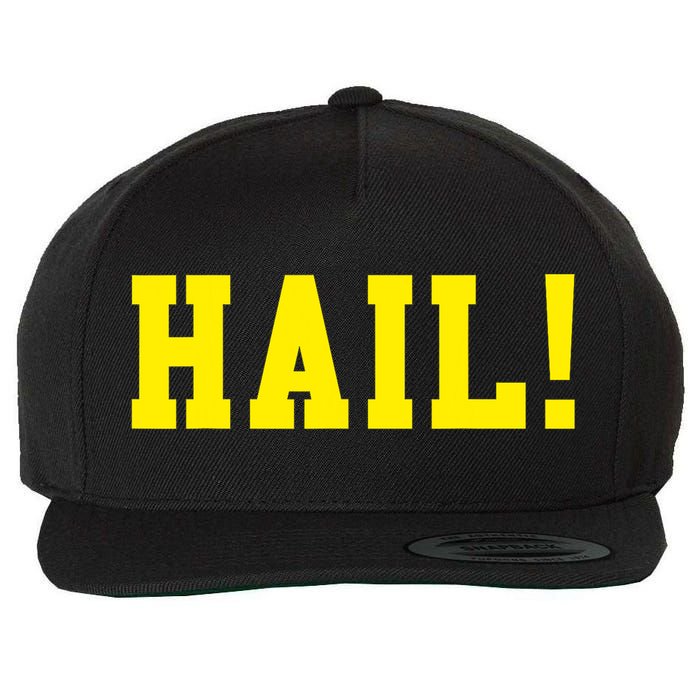 State of Michigan Hail! U M Ann Arbor MI AA Wool Snapback Cap