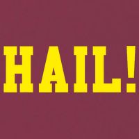 State of Michigan Hail! U M Ann Arbor MI AA 16oz Travel Tumbler