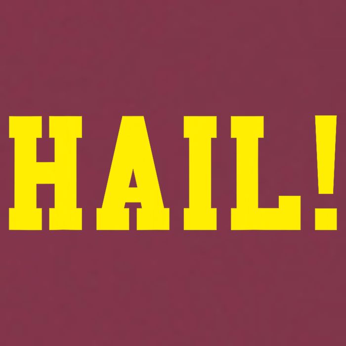 State of Michigan Hail! U M Ann Arbor MI AA 16oz Travel Tumbler
