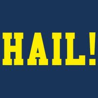 State of Michigan Hail! U M Ann Arbor MI AA Infant Baby Jersey Bodysuit