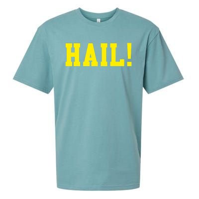 State of Michigan Hail! U M Ann Arbor MI AA Sueded Cloud Jersey T-Shirt