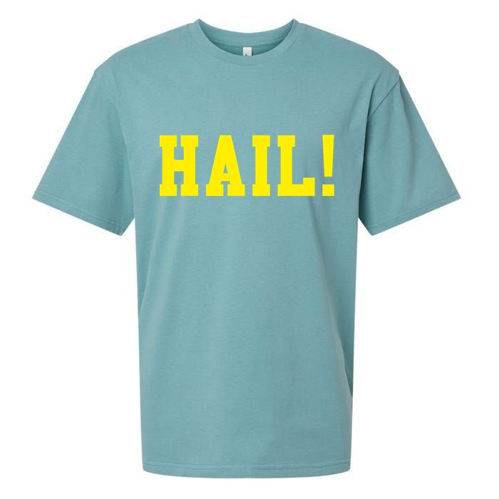 State of Michigan Hail! U M Ann Arbor MI AA Sueded Cloud Jersey T-Shirt