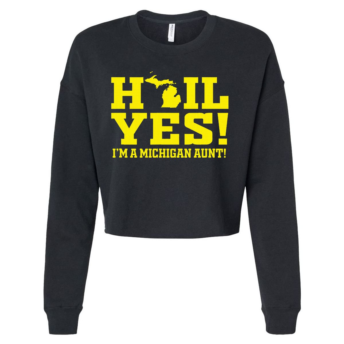 State Of Michigan Hail! Yes Mi Aunt Ann Arbor Gift U M Cropped Pullover Crew