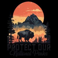 Save Our National Parks Resist Service Bison Buffalo Tank Top