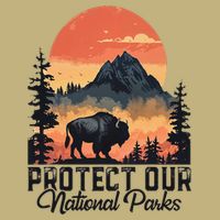 Save Our National Parks Resist Service Bison Buffalo Hoodie