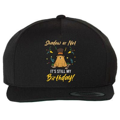 Shadow Or Not ItS Still My Birthday Groundhog Day Wool Snapback Cap