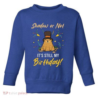 Shadow Or Not ItS Still My Birthday Groundhog Day Toddler Sweatshirt