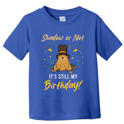 Shadow Or Not ItS Still My Birthday Groundhog Day Toddler T-Shirt