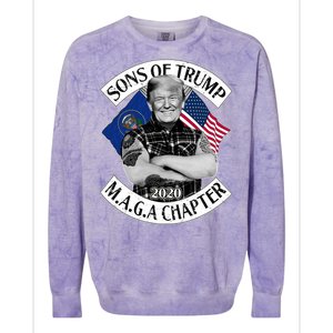 Sons of Trump 2020 MAGA Chapter Colorblast Crewneck Sweatshirt