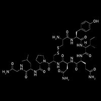 Structure Of Oxytocin Chemical Molecule Chemistry 16 in Basic Backpack