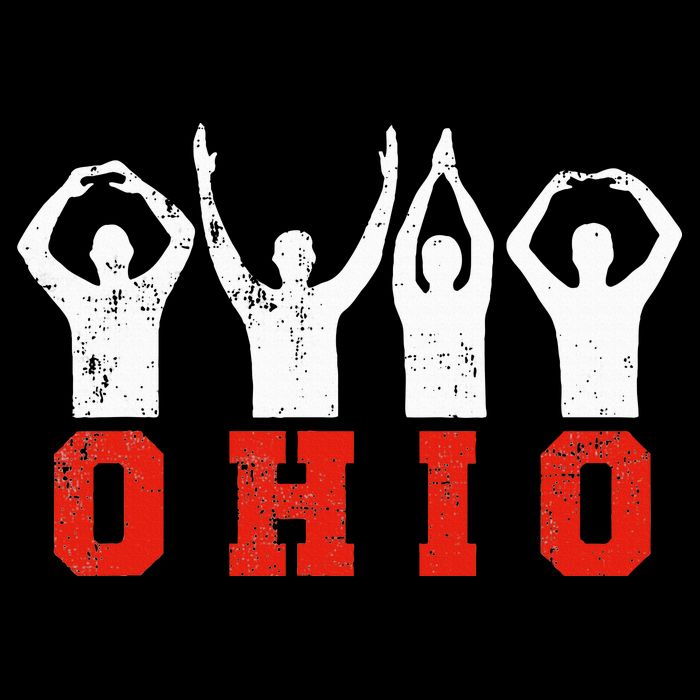 State Of Ohio Ohioan OH Trendy Distressed Apron