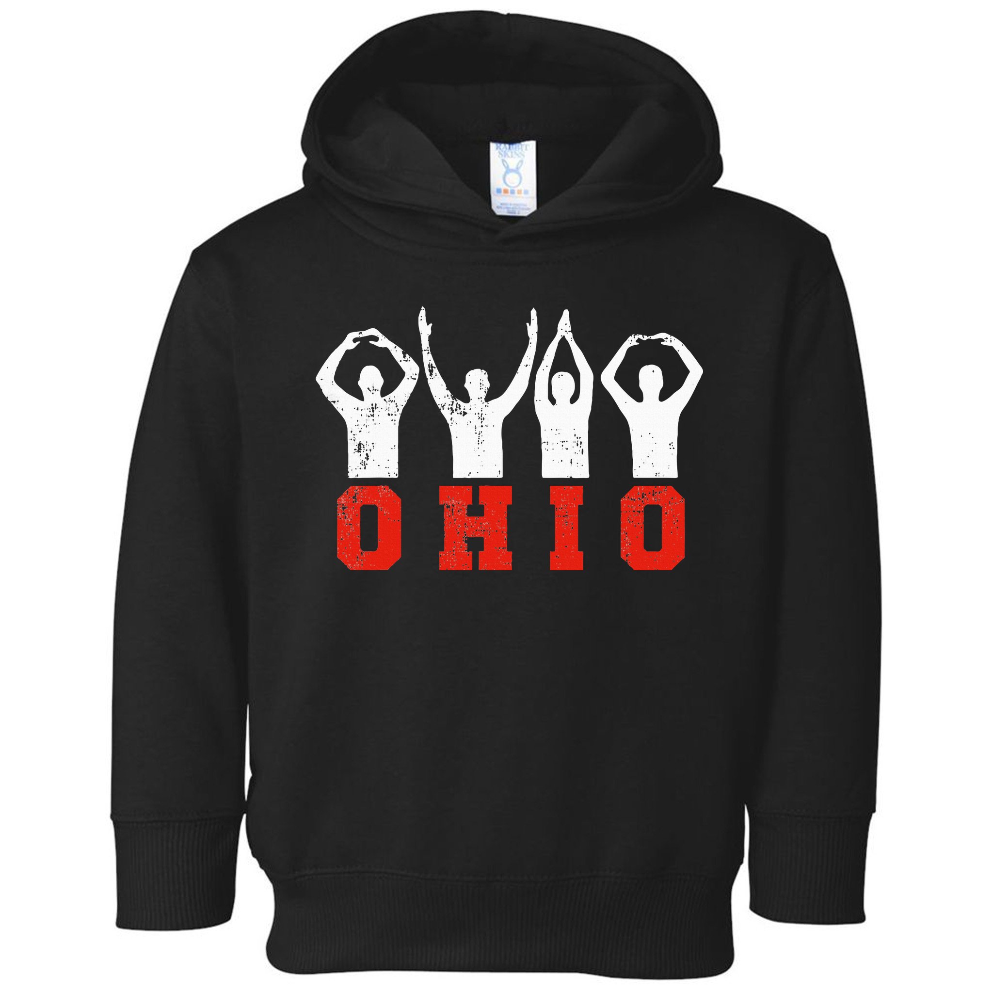 State Of Ohio Ohioan OH Trendy Distressed Toddler Hoodie