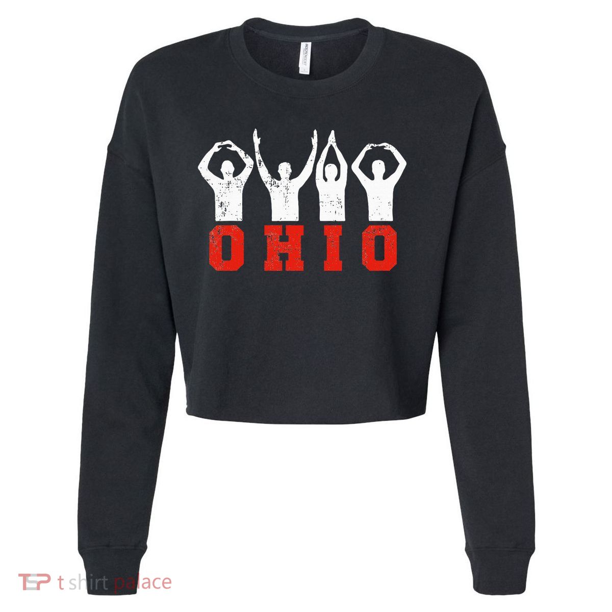 State Of Ohio Ohioan OH Trendy Distressed Cropped Pullover Crew