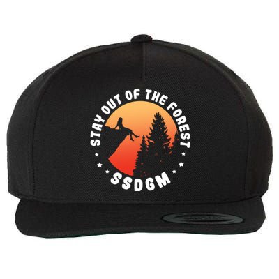 Stay Out Of The Forest Camping Hiking Nature Lover Vintage Gift Wool Snapback Cap